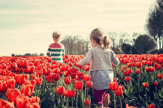 gardeningandmentalhealth