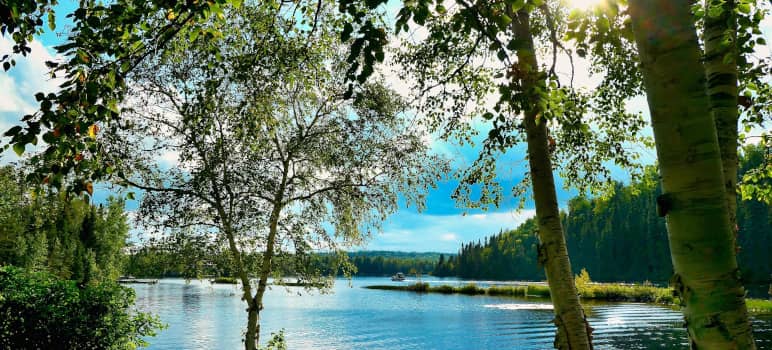 Difference Between Ecosystem Services and Ecosystem Functions 2 ecosystemservices