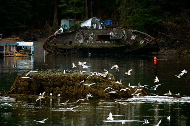 4 Disturbing Oil Spill Effects on Humans and the Environment 1 oilspilleffects