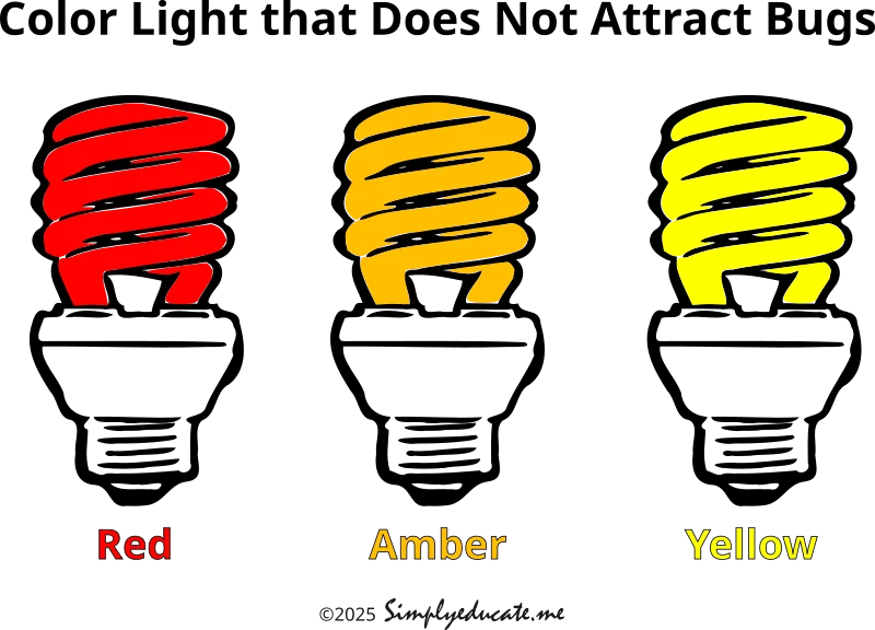 18 Kinds of Tiny Bugs Attracted to Light at Night 3 what color light that does not attract bugs