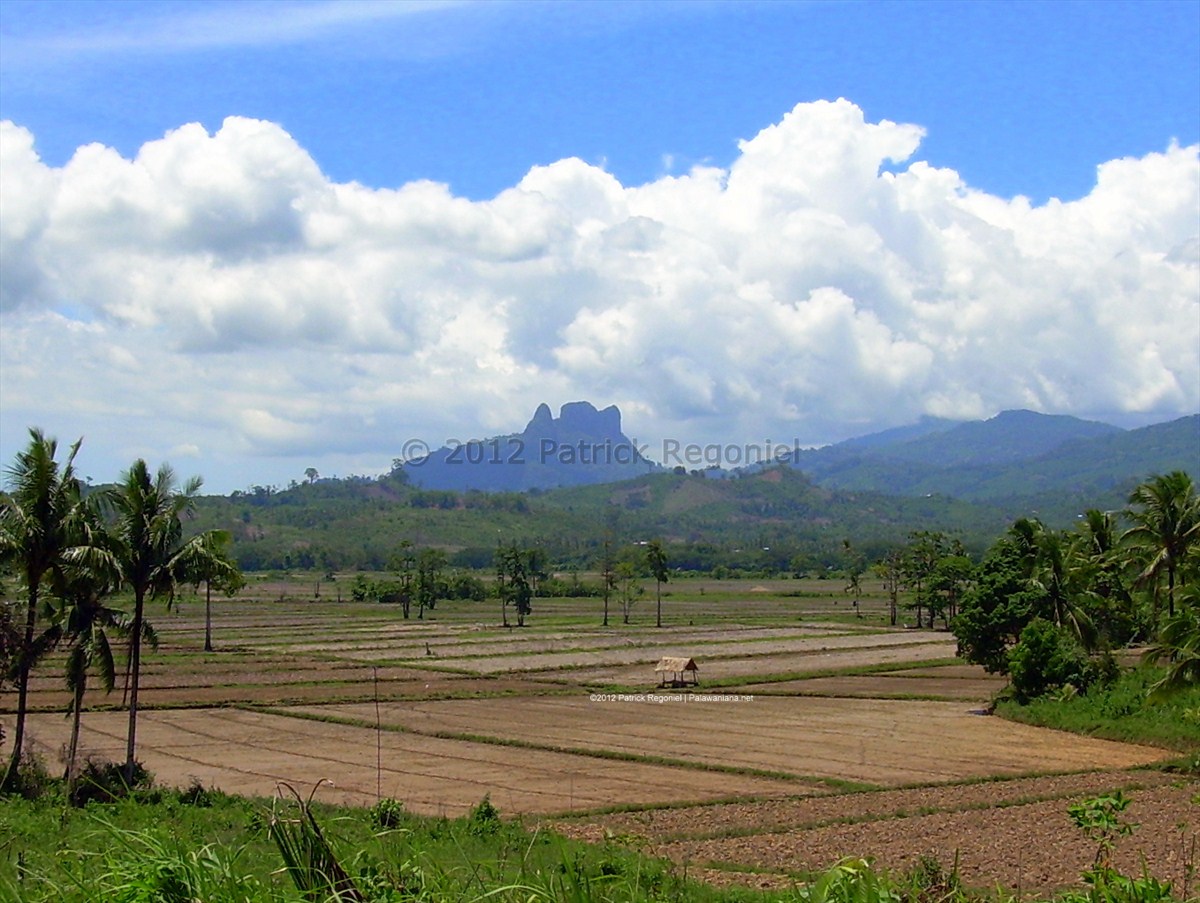Agroecosystem and the Rise of Agroecology for 8 Billion People 1 agroecosystem