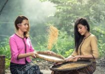 Consumer Behavior Analysis on Locally Produced Rice: A Suggested Conceptual Framework