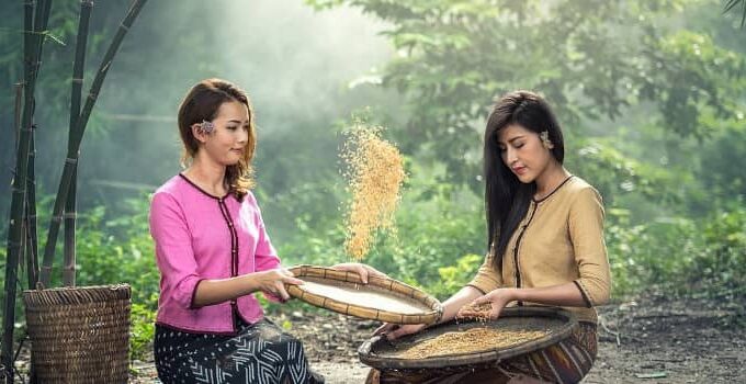 Consumer Behavior Analysis on Locally Produced Rice: A Suggested Conceptual Framework