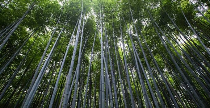 Environmental and Natural Resources: 3 Key Differences
