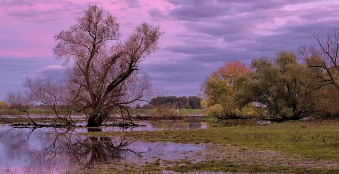 Indigenous People’s Adaptation to Climate Change: 2 Resourceful Responses