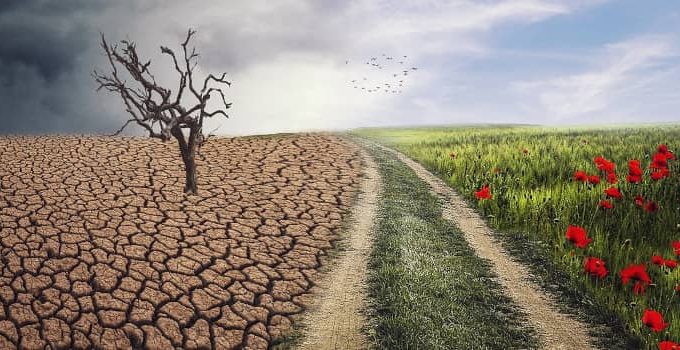 Face Off the Climate Crisis: 20 Ways