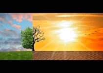 What is COP29? 5Ws and 1H of the Climate Change Conference