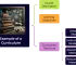 Example of a Curriculum on Environmental Science