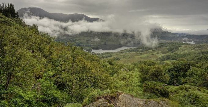 How Does Deforestation Contribute to Climate Change? 4 Major Causes and Impacts