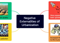 The Negative Externalities of Urban Development: Four Things I Hate