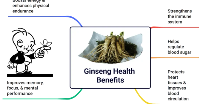 Five Notable Ginseng Health Benefits and Its Possible Side Effects