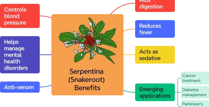 Rauvolfia serpentina (Indian Snakeroot): Uses, Benefits, and Side Effects